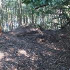 堀切の両端からは土塁をはさんでそれぞれ二条の竪堀が落ちる