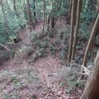 東の城・主郭北裾の堀切