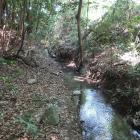 南東麓の水堀代わりの小川