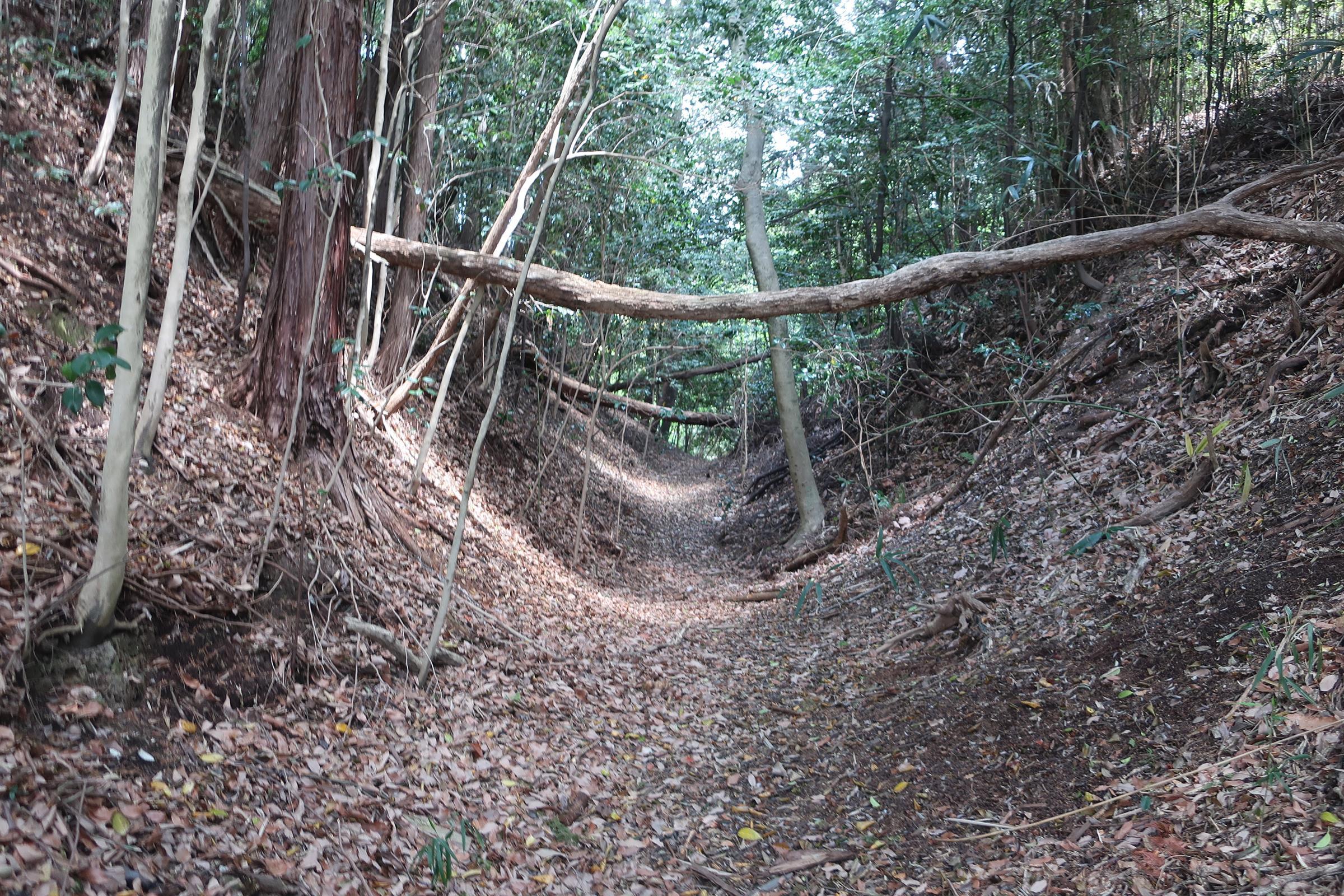 中郭と南郭間の堀切