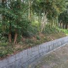 主郭南東辺の土塁（内側から）