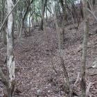 西の城・南裾の横堀（西から東に斜めに落ちる）