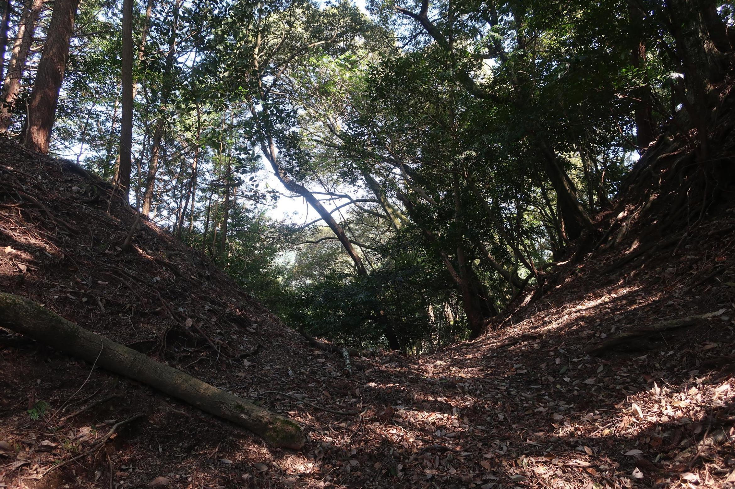 北尾根の堀切（内側）