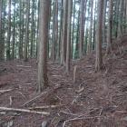 馬場と呼ばれる帯曲輪