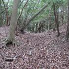 西の城・南尾根の堀切