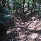 南端の屈曲した堀切