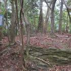 西の城・主郭