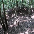 主郭西面の堀切。両端がＵ字状に竪堀となって落ちる