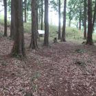 主郭（城郭１）。西辺に長大な土塁
