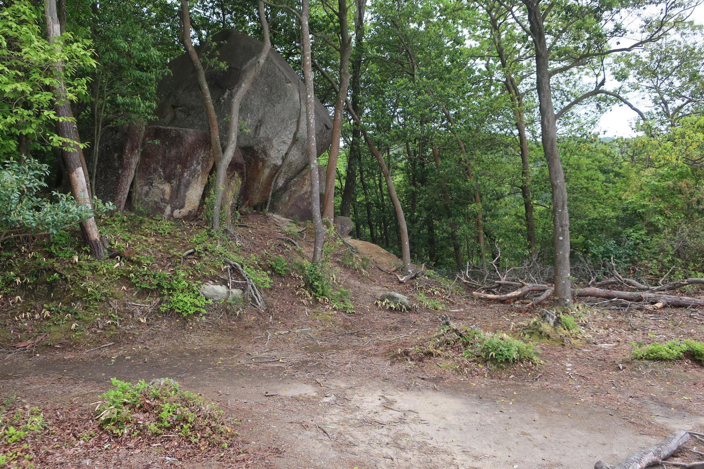 山頂郭（城郭２）