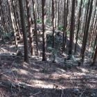 北尾根の二重堀切（内側）