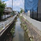 堀代わりの山賀川