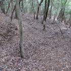 西の城・南裾の横堀（東側下段）