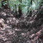 畝状空堀群南端の竪堀