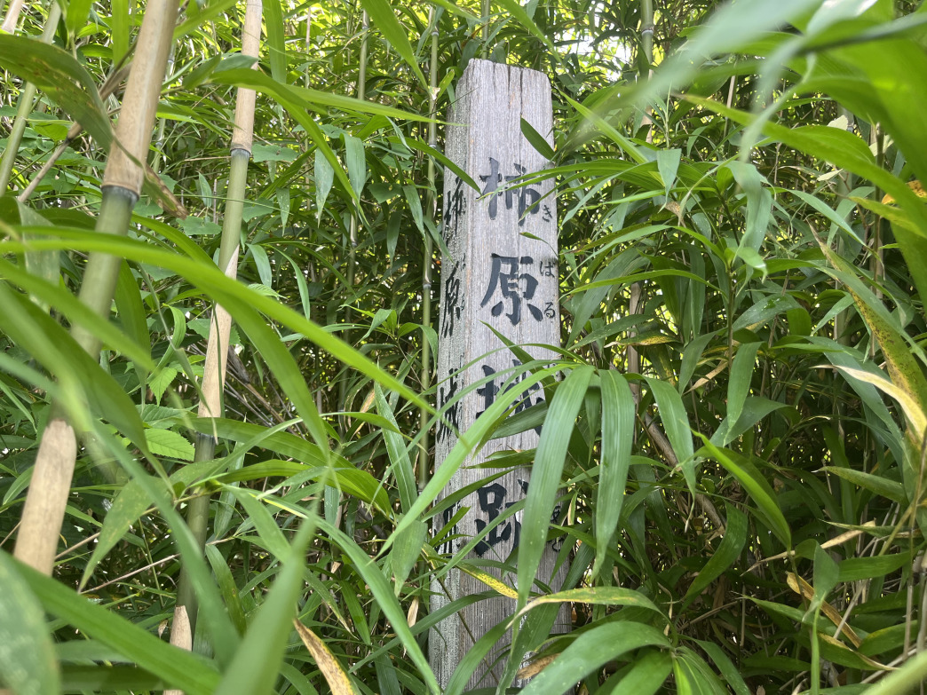 標柱のアップ