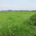 本丸跡