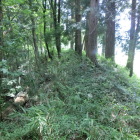 土塁
