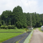 主郭部周辺の風景