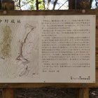 主郭パネル