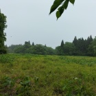 全景