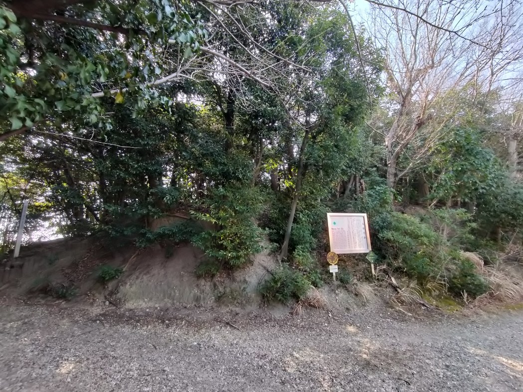 全景