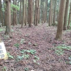 屋敷跡