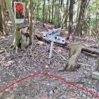 青山城分岐を右へ