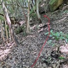 ここから山頂へ