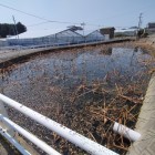 堀の一部といわれる熊ヶ池