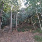 土塁