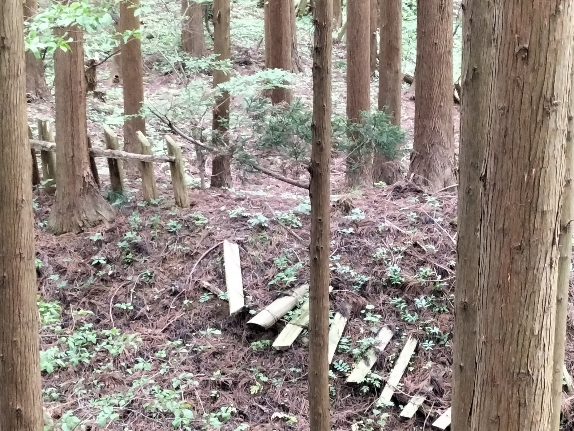 畝曲輪