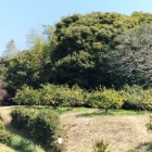 東郭