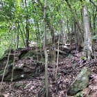 登り石垣のようだ…