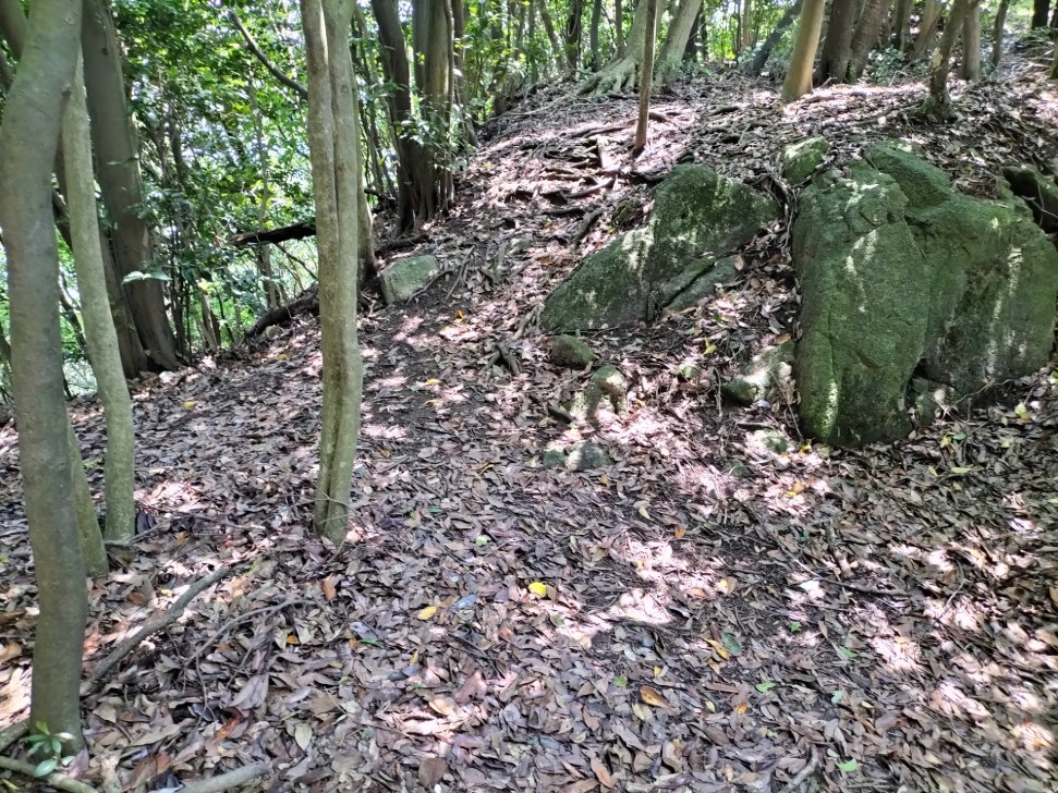 櫓跡手前の堀切＆土橋