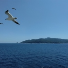 佐渡ヶ島ともお別れ