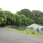 二俣城全景