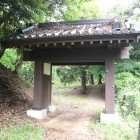 薬医門