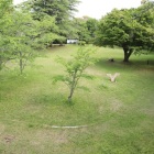 主郭