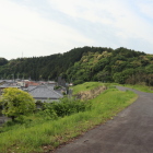 全景