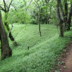 本丸土塁