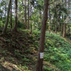 本丸の高い土塁