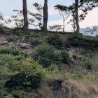 北東部の登城口から城壁を望む