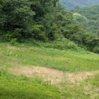 鍛冶遺構