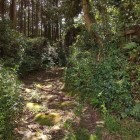 ⑤	葛籠城登城口