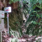 ⑧	登山道途中の岩場