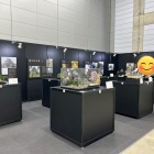 島充さんの模型。じっくり見る時間がなかったのが本当に悔やまれます