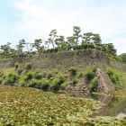 水堀と二の丸石垣(中央は伏見櫓跡)