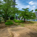 小学校校庭に残るお山も土塁か？