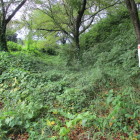 虎口左の堀跡