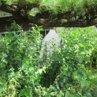 草に埋もれた城址碑